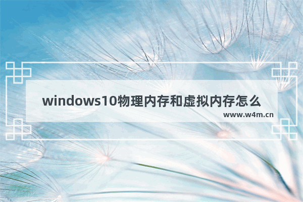 windows10物理内存和虚拟内存怎么看 windows10物理内存和虚拟内存查看方法