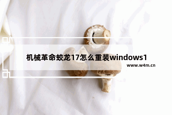 机械革命蛟龙17怎么重装windows11系统 蛟龙17笔记本重装windows11的方法