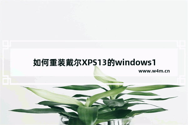 如何重装戴尔XPS13的windows11系统 戴尔XPS13重装系统windows11的教程