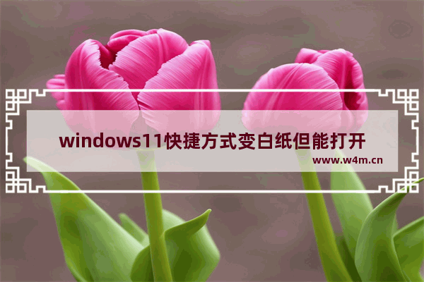 windows11快捷方式变白纸但能打开是怎么回事 windows11快捷方式变白纸但能打开解决方法