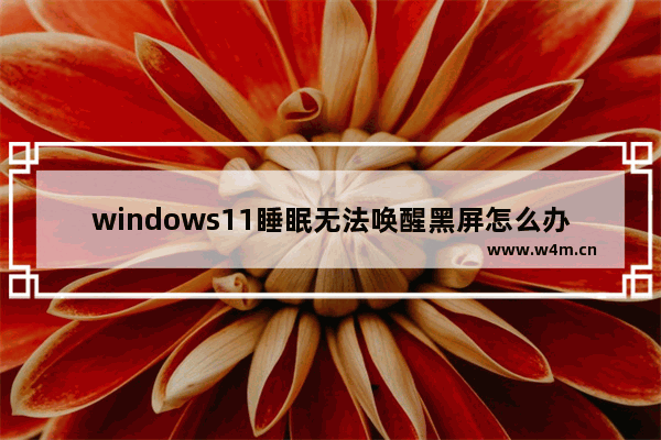 windows11睡眠无法唤醒黑屏怎么办 windows11睡眠黑屏假死的解决方法