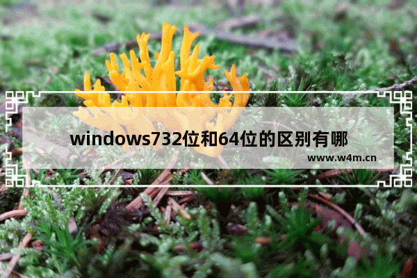 windows732位和64位的区别有哪些 windows732位和64位的区别分析