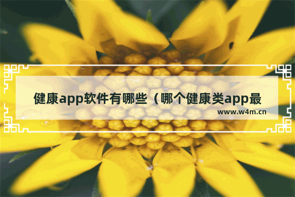 健康app软件有哪些（哪个健康类app最好）