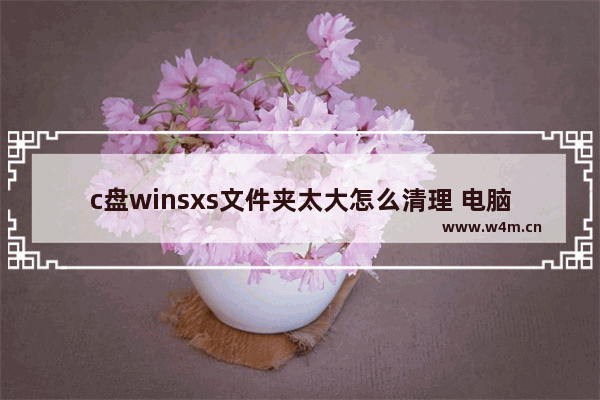 c盘winsxs文件夹太大怎么清理 电脑c盘winsxs文件夹一键瘦身方法