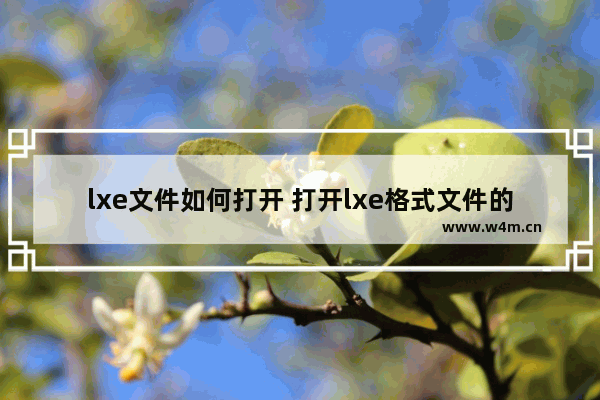 lxe文件如何打开 打开lxe格式文件的几个方法