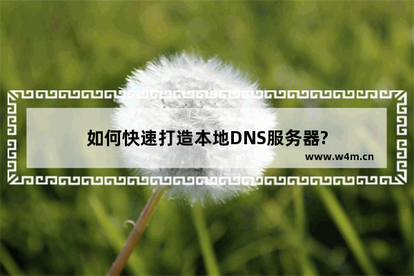 如何快速打造本地DNS服务器?