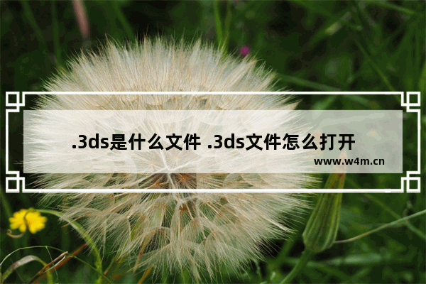 .3ds是什么文件 .3ds文件怎么打开