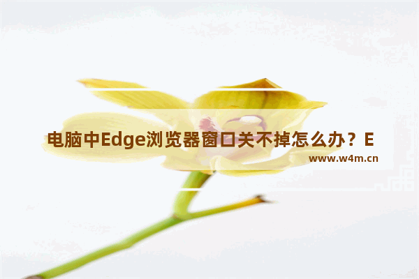 电脑中Edge浏览器窗口关不掉怎么办？Edge浏览器无法关闭的解决方法