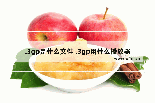 .3gp是什么文件 .3gp用什么播放器打开