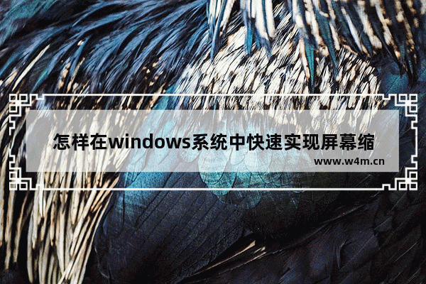 怎样在windows系统中快速实现屏幕缩放