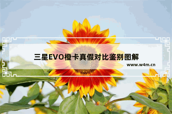 三星EVO橙卡真假对比鉴别图解