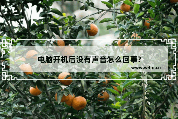 电脑开机后没有声音怎么回事?