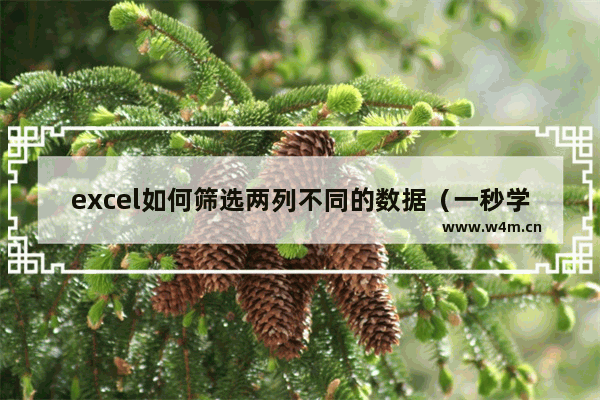 excel如何筛选两列不同的数据（一秒学会找出excel两列数据的不同）