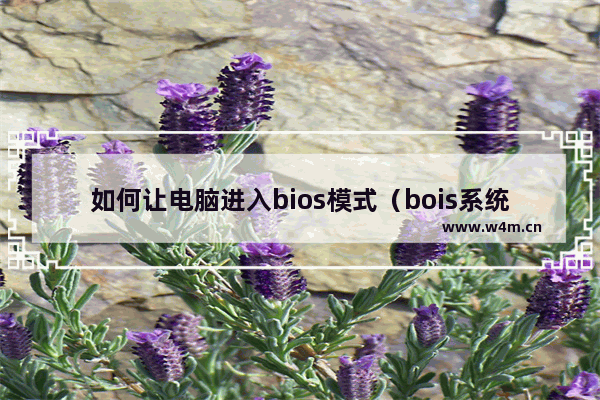 如何让电脑进入bios模式（bois系统重装详细介绍）