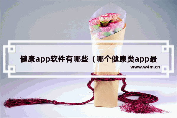 健康app软件有哪些（哪个健康类app最好）