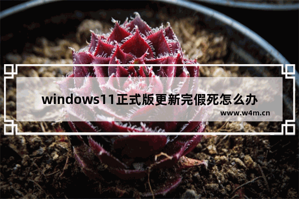 windows11正式版更新完假死怎么办 windows11正式版更新完假死解决方法