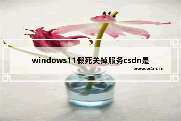 windows11假死关掉服务csdn是怎么回事 windows11假死关掉服务csdn解决方法