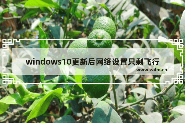 windows10更新后网络设置只剩飞行模式是怎么回事 windows10更新后网络设置只剩飞行模式解决方法