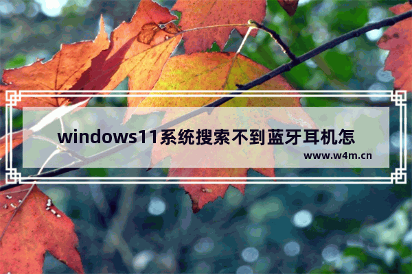 windows11系统搜索不到蓝牙耳机怎么办 windows11系统搜索不到蓝牙耳机解决方法分享