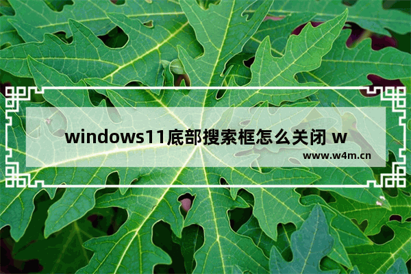 windows11底部搜索框怎么关闭 windows11任务栏搜索框关闭方法分享