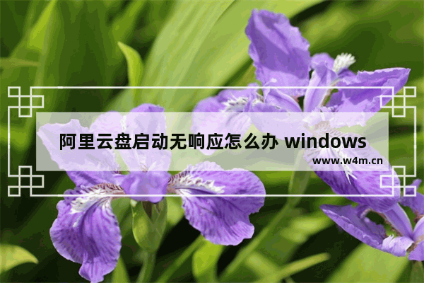 阿里云盘启动无响应怎么办 windows11阿里云盘双击打不开的解决方法