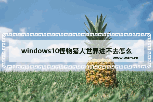 windows10怪物猎人世界进不去怎么办 windows10怪物猎人世界进不去的解决方法