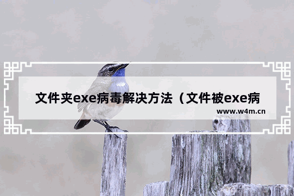 文件夹exe病毒解决方法（文件被exe病毒破坏怎么恢复）