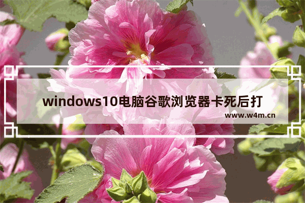 windows10电脑谷歌浏览器卡死后打不开怎么回事 windows10电脑谷歌浏览器卡死后打不开解决办法