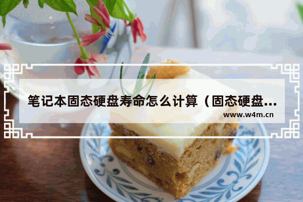 笔记本固态硬盘寿命怎么计算（固态硬盘寿命有多少年）