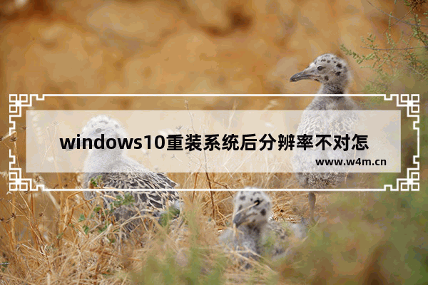 windows10重装系统后分辨率不对怎么调回来 windows10重装系统后分辨率不对怎么调回来方法