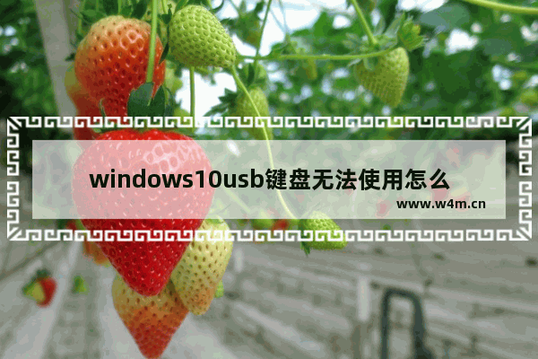 windows10usb键盘无法使用怎么办 windows10usb键盘无法使用解决方法