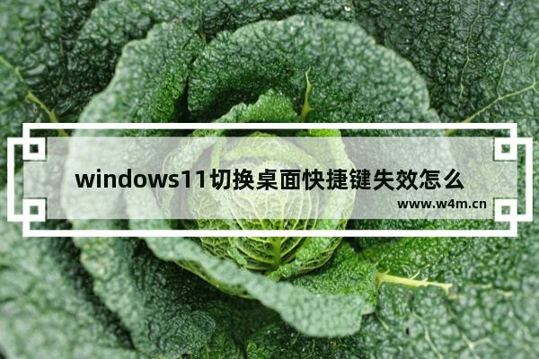 windows11切换桌面快捷键失效怎么办 windows11切换桌面快捷键失效解决方法