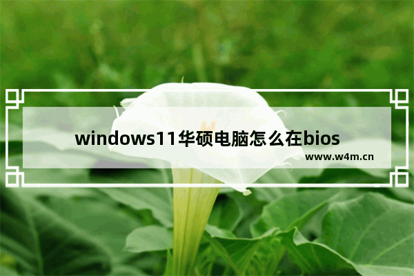 windows11华硕电脑怎么在bios中设置固态硬盘启动 windows11华硕电脑在bios中设置固态硬盘启动教程