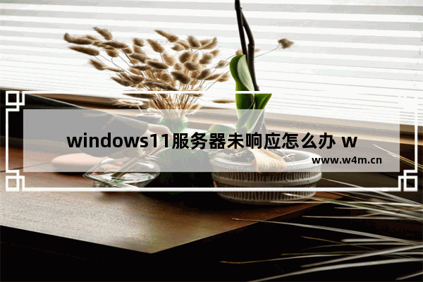 windows11服务器未响应怎么办 windows11服务器未响应的解决方法