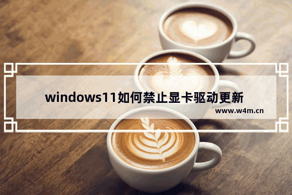 windows11如何禁止显卡驱动更新 windows11关闭显卡驱动更新的方法