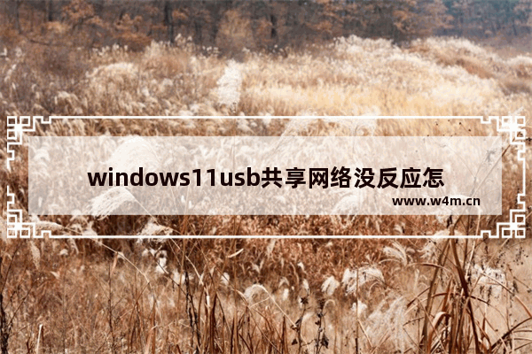 windows11usb共享网络没反应怎么办 windows11usb共享网络没反应的解决方法