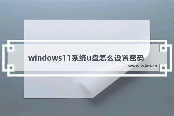 windows11系统u盘怎么设置密码 windows11设置u盘密码的方法