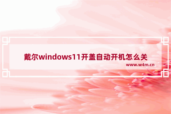 戴尔windows11开盖自动开机怎么关闭电源键灯 戴尔windows11开盖自动开机怎么关闭电源键灯方法解析