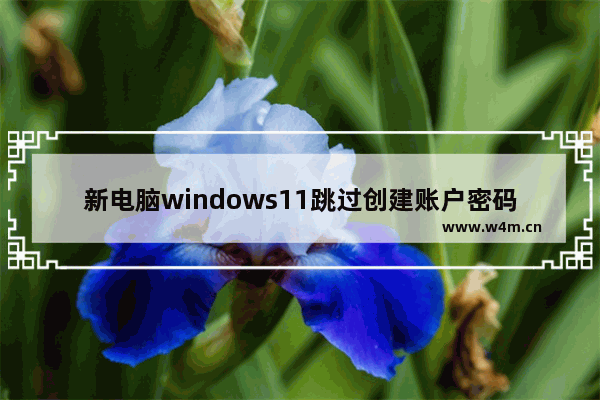 新电脑windows11跳过创建账户密码怎么办 新电脑windows11跳过创建账户密码详解