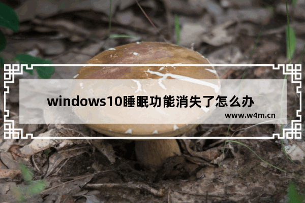 windows10睡眠功能消失了怎么办 windows10睡眠功能消失了解决方法