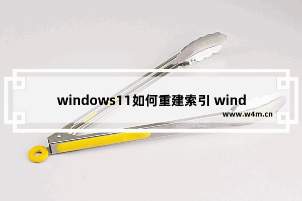 windows11如何重建索引 windows11删除和重建索引教程