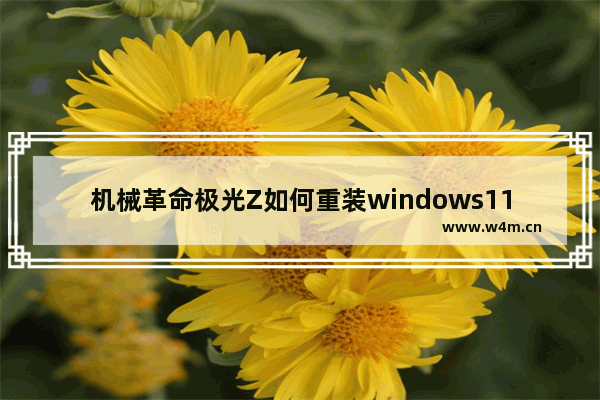 机械革命极光Z如何重装windows11系统 机械革命极光Z重装系统windows11的教程