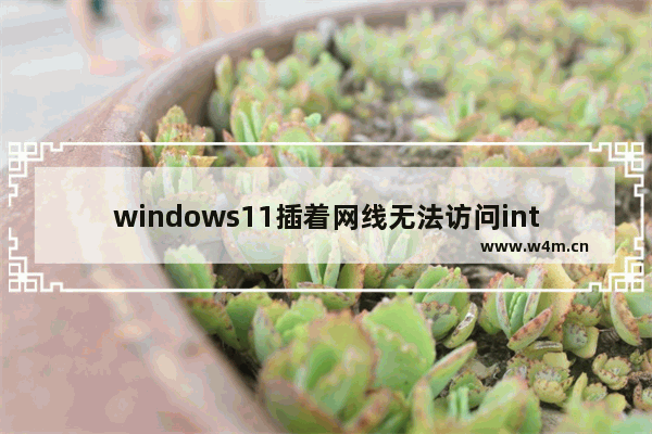 windows11插着网线无法访问internet怎么解决 windows11插着网线无法访问internet解决方法