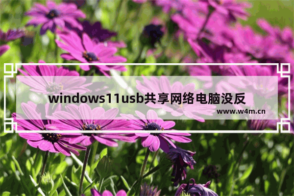 windows11usb共享网络电脑没反应怎么办 windows11usb共享网络电脑没反应解决方法