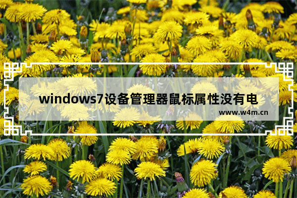 windows7设备管理器鼠标属性没有电源管理选项怎么解决 windows7设备管理器鼠标属性没有电源管理选项解决办法