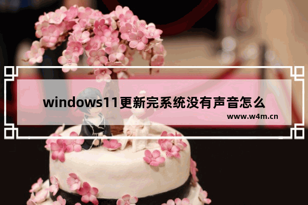 windows11更新完系统没有声音怎么办 windows11更新完系统没有声音解决方法