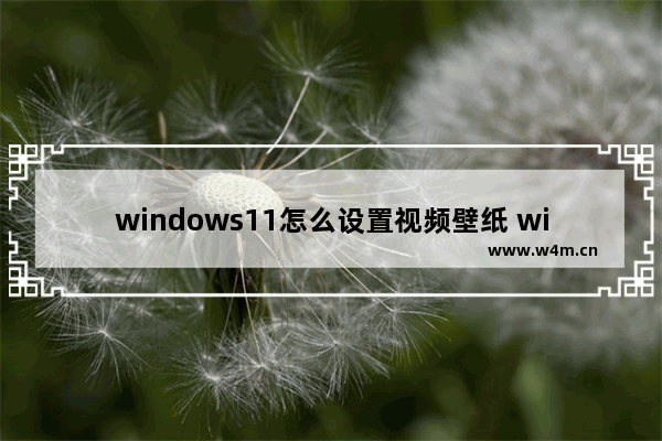 windows11怎么设置视频壁纸 windows11设置视频壁纸的方法