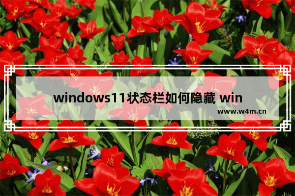 windows11状态栏如何隐藏 windows11隐藏状态栏的方法