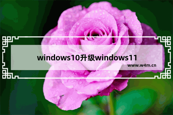 windows10升级windows11方法有哪些 windows10升级windows11方法大全