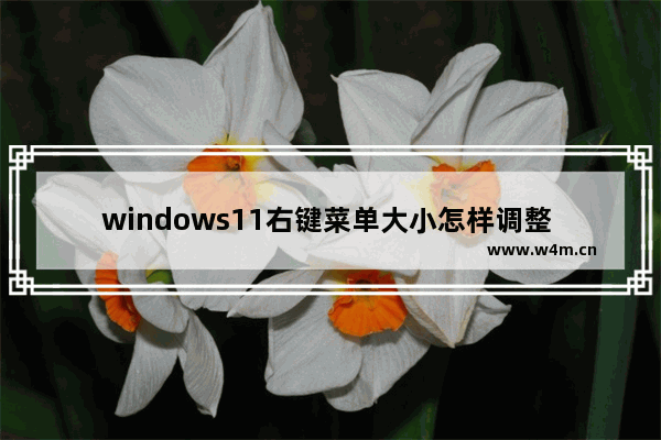 windows11右键菜单大小怎样调整 windows11右键菜单大小调整方法